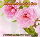 ֹ,㶫󷨵ӹ編ִʦ𻪵(26)