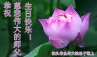 ֹ,ӱ󷨵ӹ編ִʦ𻪵(20)