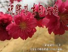 ֹ,󷨵ӹ編ִʦ𻪵(22)