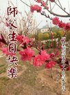 ֹ,żҿڴ󷨵ӹ編ִʦ𻪵(19)