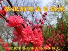 ֹ,ӱ󷨵ӹ編ִʦ𻪵(20)