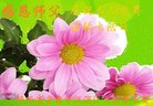 ֹ,󷨵ӹ編ִʦ𻪵(18)