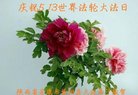 ֹ,󷨵ӹ編ִʦ𻪵(18)