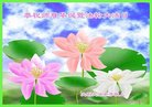 ֹ,󷨵ӹ編ִʦ𻪵(18)