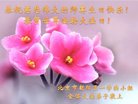 ֹ,󷨵ӹ編ִʦ𻪵(21)