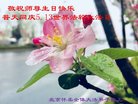 ֹ,󷨵ӹ編ִʦ𻪵(21)