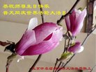 ֹ,󷨵ӹ編ִʦ𻪵(21)