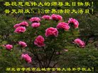 ֹ,󷨵ӹ編ִʦ𻪵(19)
