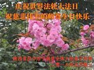 ֹ,󷨵ӹ編ִʦ𻪵(18)