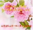 ֹ,ɽ󷨵ӹ編ִʦ𻪵(28)