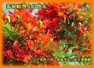 ֹ,󷨵ӹ編ִʦ𻪵(26)