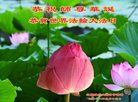 ֹ,մ󷨵ӹ編ִʦ𻪵(21)