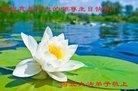 ֹ,ӱ󷨵ӹ編ִʦ𻪵(27)