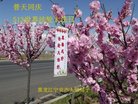 ֹ,󷨵ӹ編ִʦ𻪵(21)
