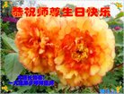 ֹ,󷨵ӹ編ִʦ𻪵(24)