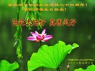 ֹ,ൺ󷨵ӹ編ִʦ𻪵(20)