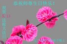 ֹ,󷨵ӹ編ִʦ𻪵(23)
