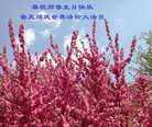 ֹ,󷨵ӹ編ִʦ𻪵(22)