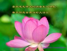 ֹ,󷨵ӹ編ִʦ𻪵(25)