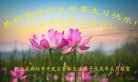 ֹ,ȷ󷨵ӹ編ִʦ𻪵(22)
