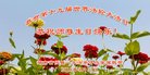 ֹ,ϴ󷨵ӹ編ִʦ𻪵(18)