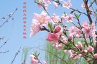 ֹ,Ϋ󷨵ӹ編ִʦ𻪵(21)