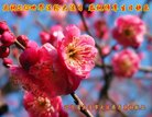 ֹ,󷨵ӹ編ִʦ𻪵(24)