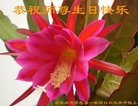 ֹ,ʯׯ󷨵ӹ編ִʦ𻪵(20)
