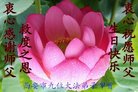ֹ,󷨵ӹ編ִʦ𻪵(20)