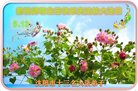 ֹ,󷨵ӹ編ִʦ𻪵(23)