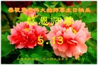 ֹ,ϴ󷨵ӹ編ִʦ𻪵(20)