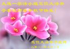 ֹ,󷨵ӹףʦ(28)