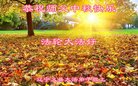 ֹ,ݴ󷨵ӹףʦ(21)