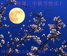 ֹ,ϴ󷨵ӹףʦ(27)