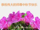 ֹ,ϴ󷨵ӹףʦ(28)