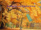 ֹ,󷨵ӹףʦ(19)