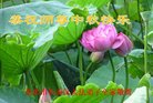 ֹ,󷨵ӹףʦ(22)