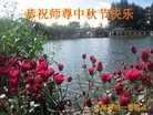 ֹ,ϴ󷨵ӹףʦ(19)