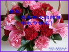 ֹ,󷨵ӹףʦ(22)