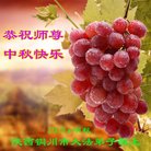 ֹ,󷨵ӹףʦ(19)