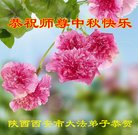 ֹ,󷨵ӹףʦ(19)