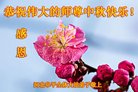 ֹ,ӱ󷨵ӹףʦ(21)