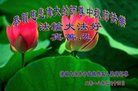 ֹ,Ϋ󷨵ӹףʦ(20)