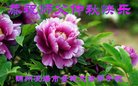 ֹ,ݴ󷨵ӹףʦ(21)