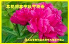 ֹ,󷨵ӹףʦ(18)