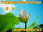 ֹ,ӱ󷨵ӹףʦ(19)