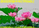 ֹ,ݴ󷨵ӹףʦ(23)
