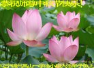 ֹ,ݴ󷨵ӹףʦ(23)
