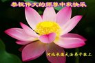 ֹ,ӱ󷨵ӹףʦ(16)