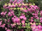 ֹ,󷨵ӹףʦ(22)